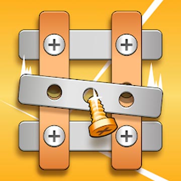 Nuts and Bolts Brainteasers game